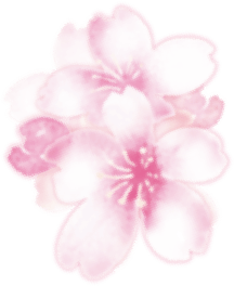 Sakura Sakuyahime