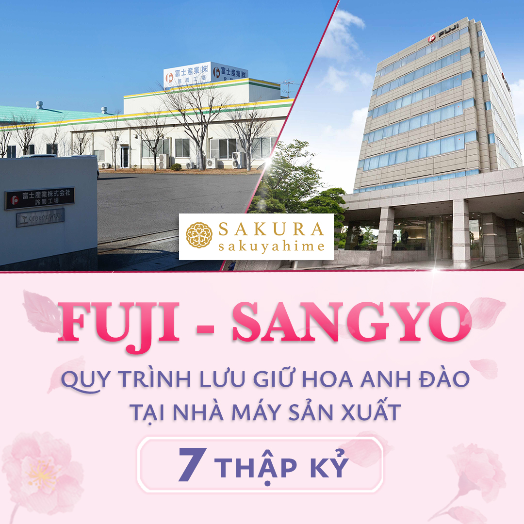 Chiết xuất hoa anh đào