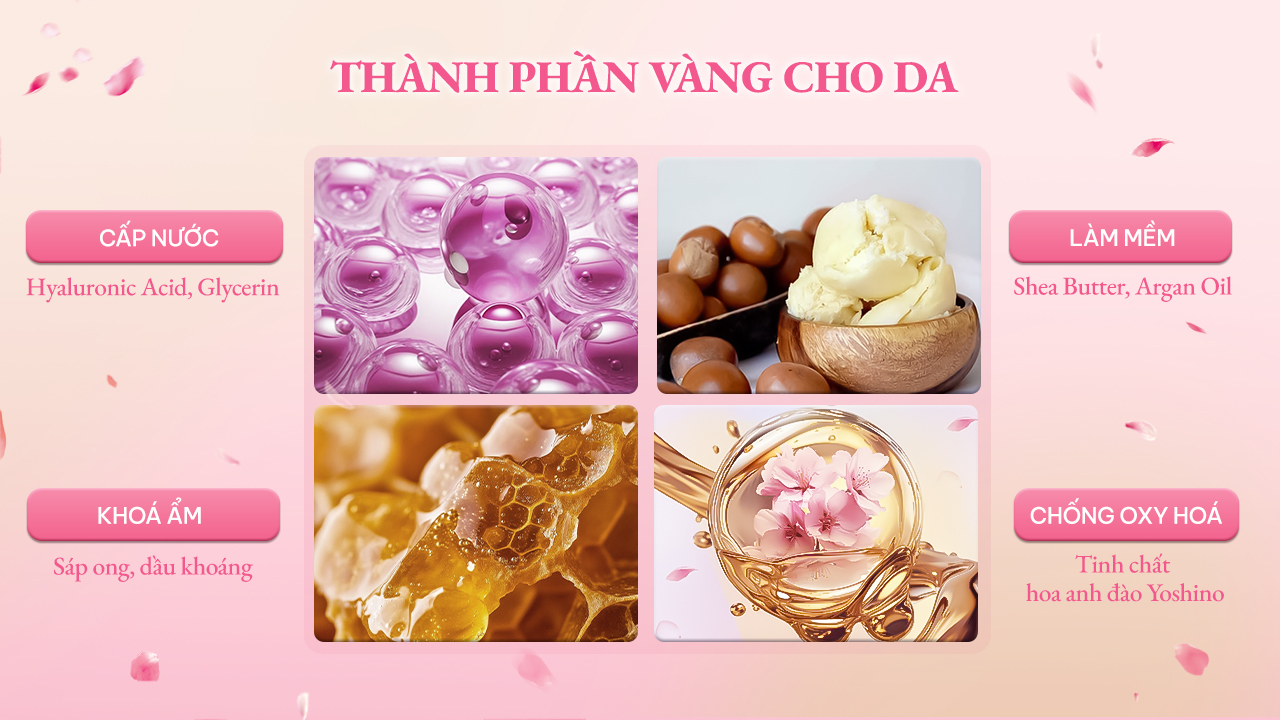 Những Thành Phần Vàng Dành Cho Da Khô