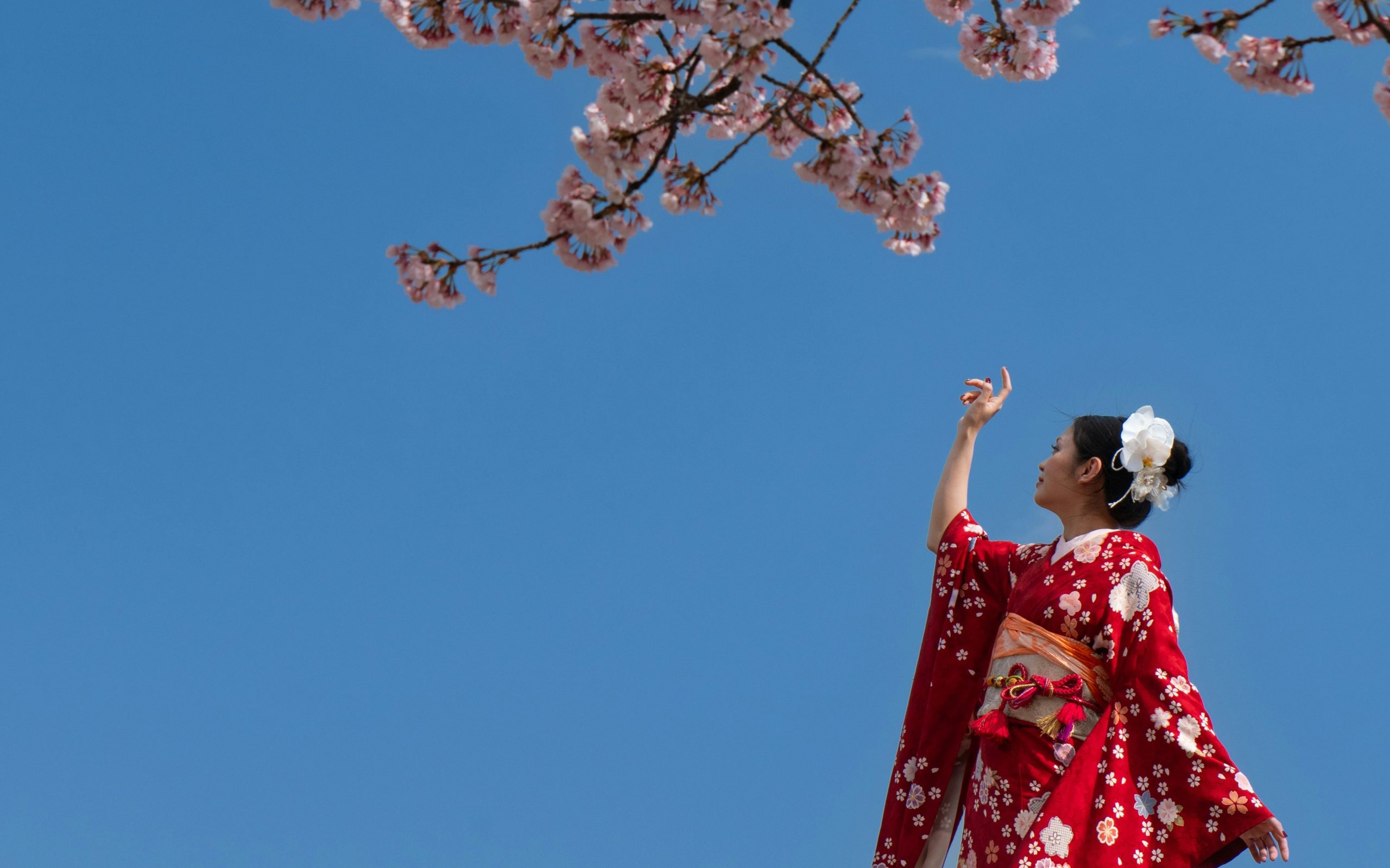 Trong ẩm thực và trang phục